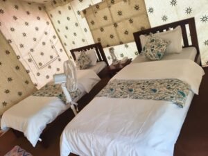 WhatsApp Image 2025-09-02 at 13.56.12_b7c19e74